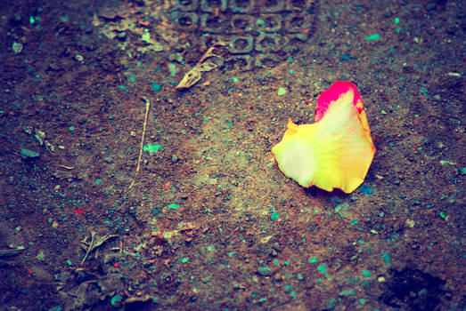 Lost Petal