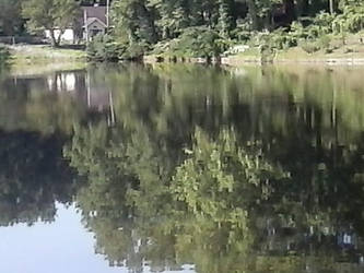 pond