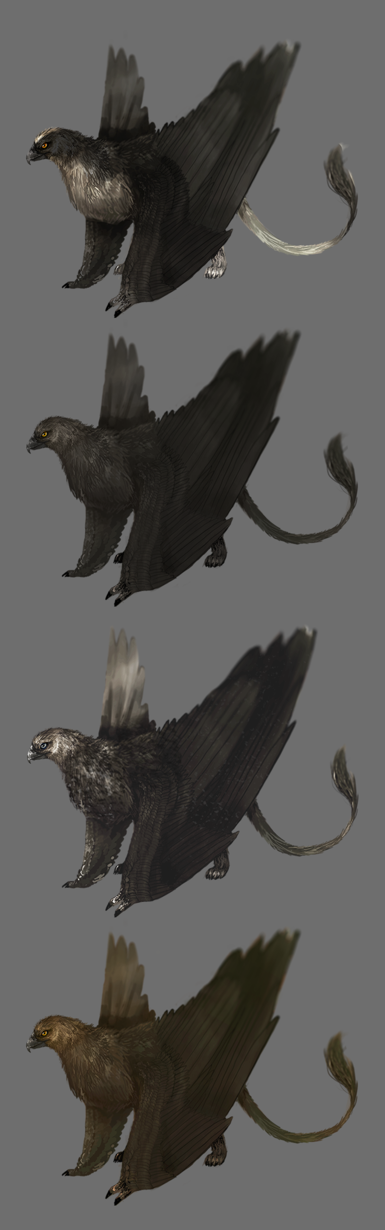 four types of gryphons