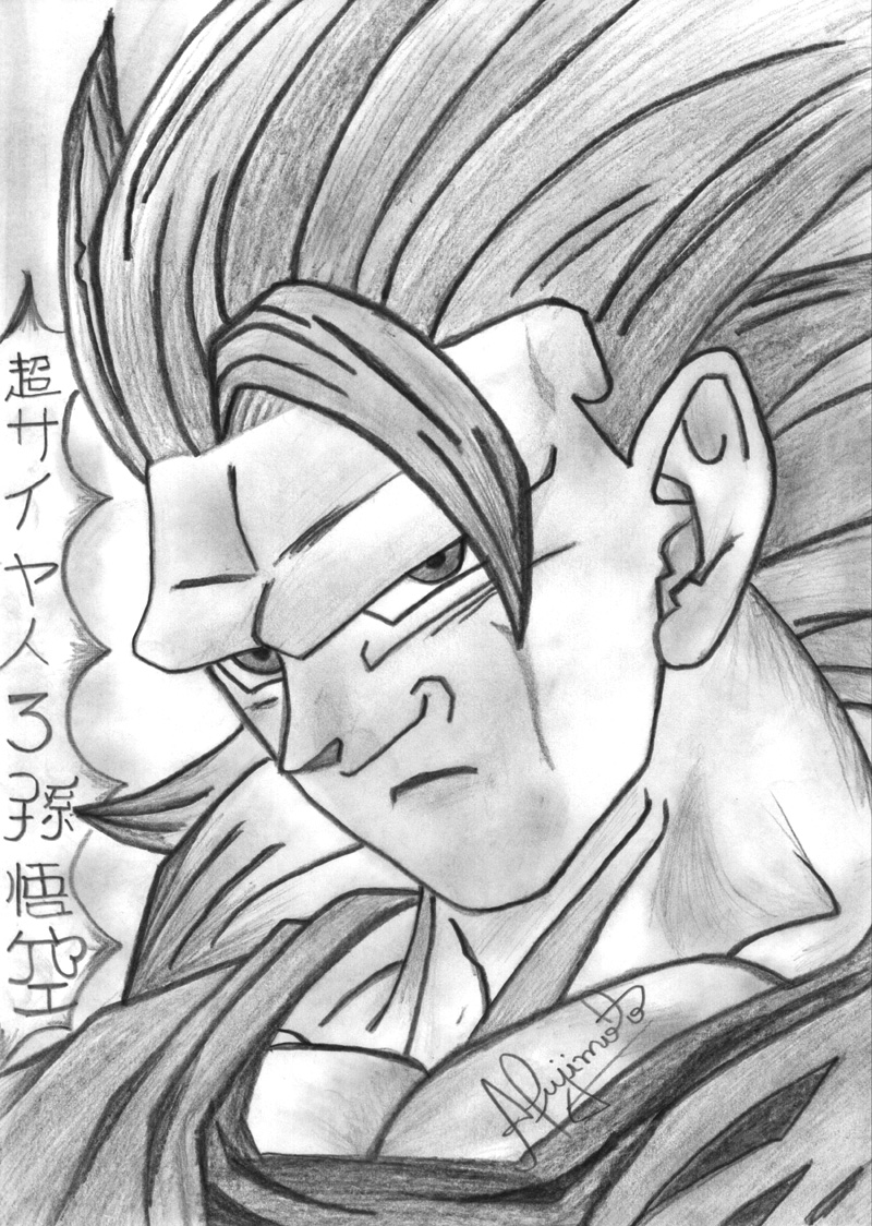 Desenho goku ssj 3  Goku, Goku desenho, Desenhos