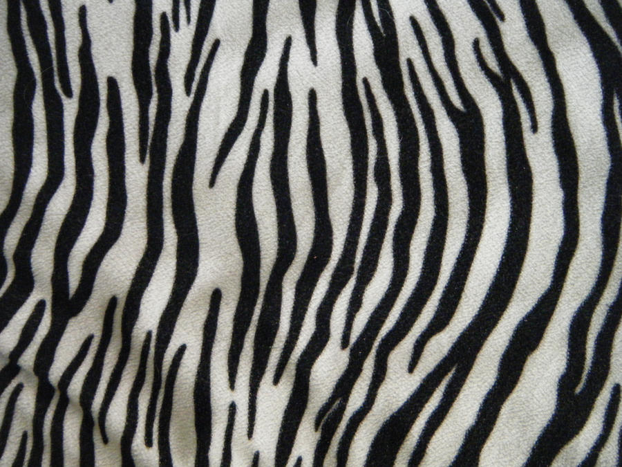 zebra texture stock