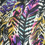 funky zebra texture stock