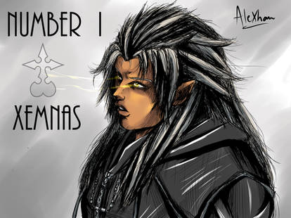 Number I : Lord Xemnas
