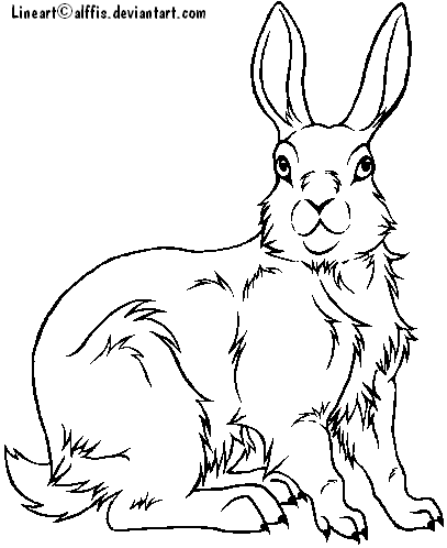 Rabbit lineart -Free to use- by Alffis on DeviantArt