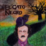 Gato Negro