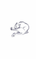 sketch cat