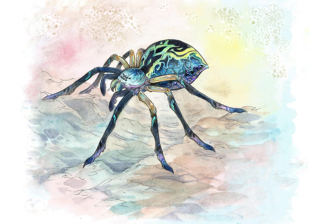 Deviantart Spider Spider by Taski-Guru on DeviantArt