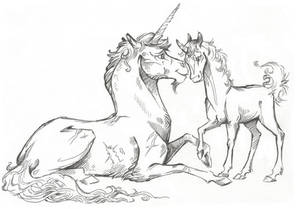 Line Art Unicorn Adopt #38