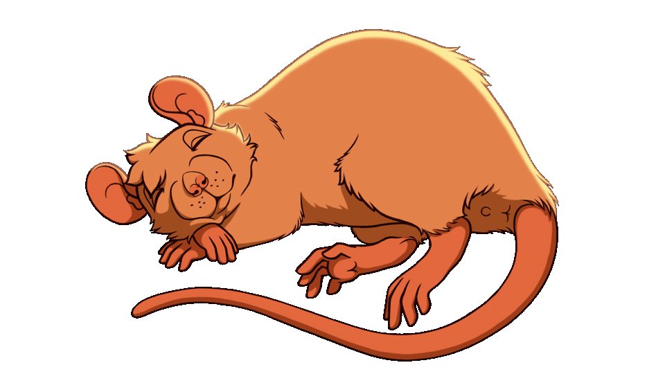 Sleep Rats Mouse Sleeping Rat by RattusaurusRex on DeviantArt