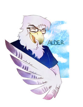 Oc - Alder, the Eagle Daddy