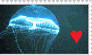 STAMP: Jellyfish Love