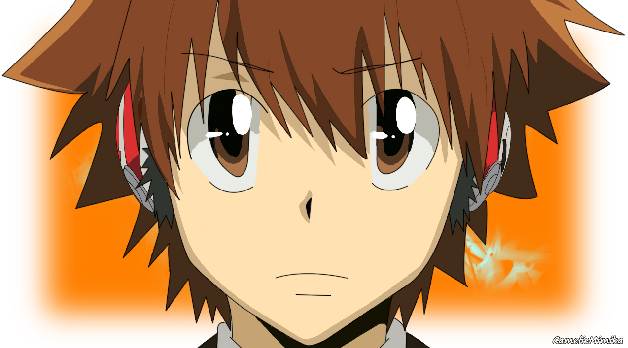 Sawada Tsunayoshi Vector