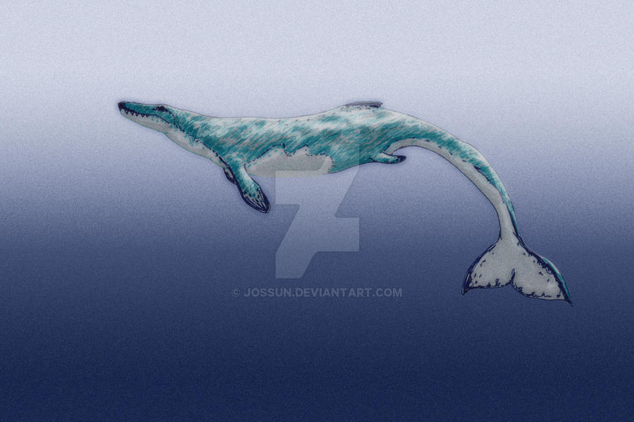 Basilosaurus Deviantart Basilosaurus Deviantart at Jade Haylen blog