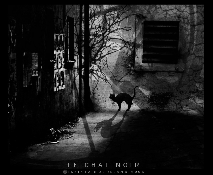 Le chat noir