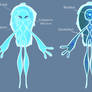 Cyalien anatomy