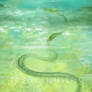 Original: Watersnake