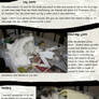 Making of Puppeterasu Pt 2