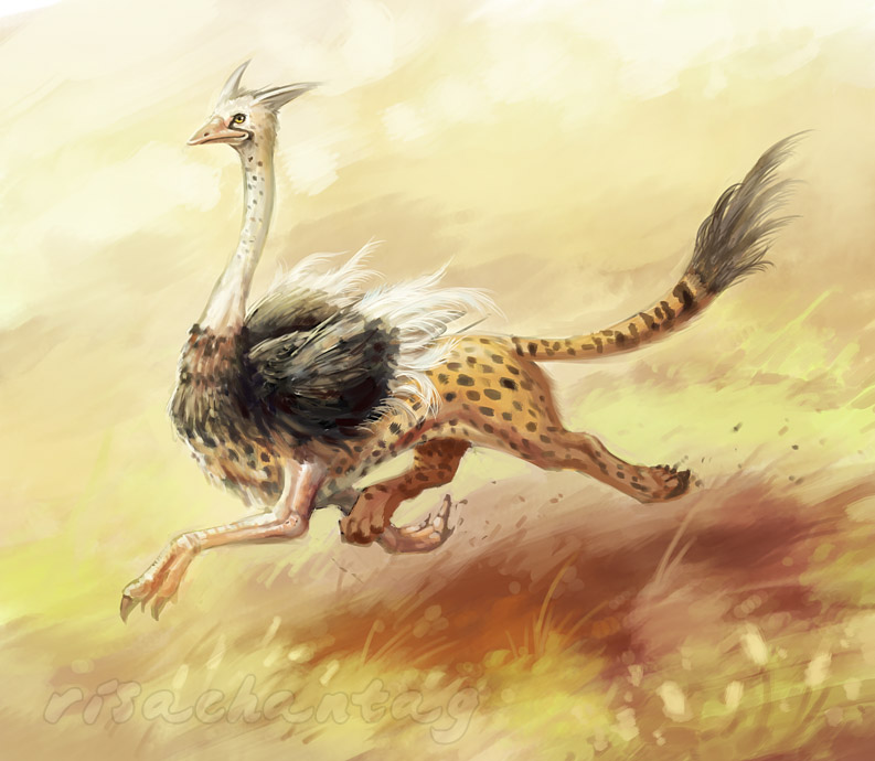 Ostrich Griffin