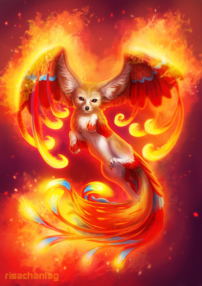 Phoenix Fox