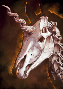 Unicorn Skull