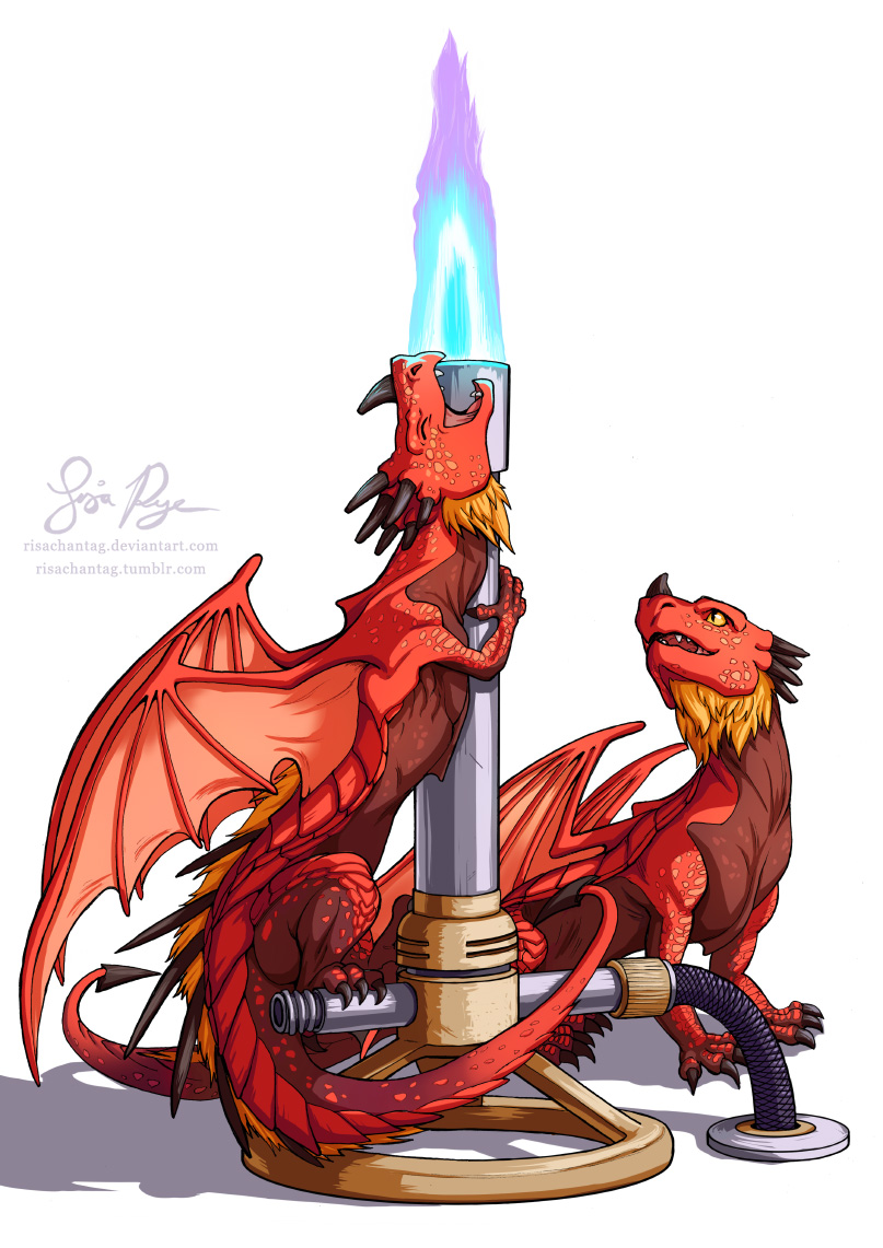 Bunsen Burner Dragons