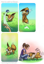 How to catch an Eevee