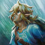 Breath of the Wild: Rain