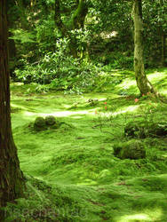 Japan: Sanzen-in Spirits