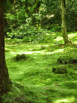 Japan: Sanzen-in Spirits