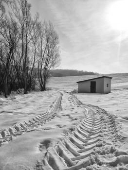 Tracks In The Snow