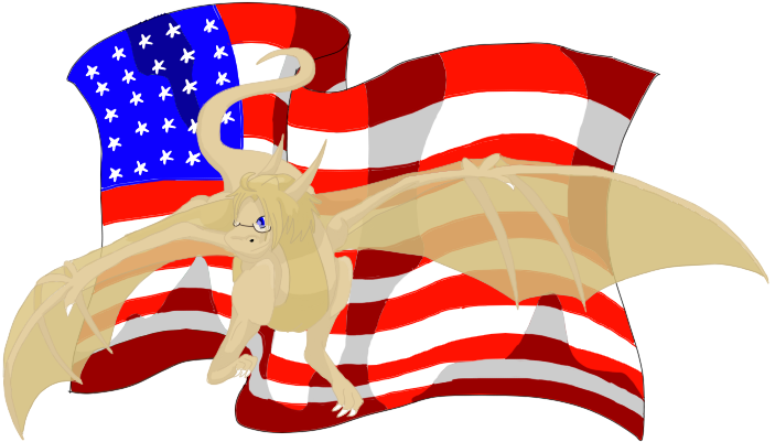 America Dragon