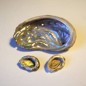 Abalone pendants