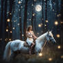 Moon Fairy Sitting On A White Unicorn, Night Fores