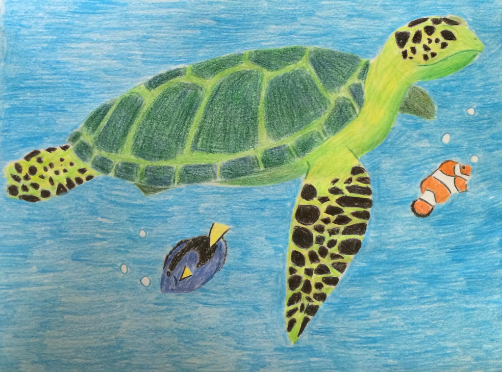 Sea Turtle by oswald62653 on DeviantArt
