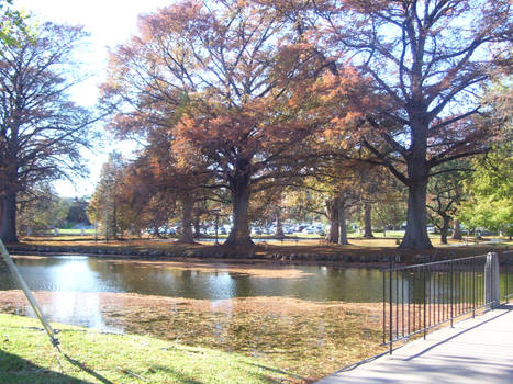 Fall Pond