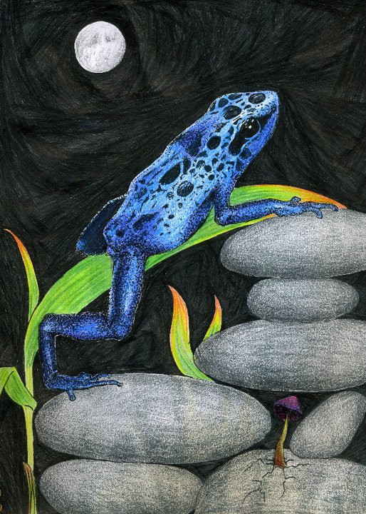 Blue Frog in Ink and CP