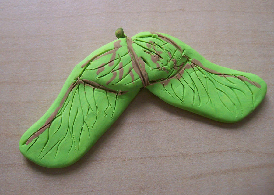 Maple Samara by KCJoker33 on DeviantArt