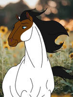 Ziggy (Horse oc)