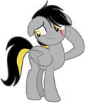 Pony karai 10