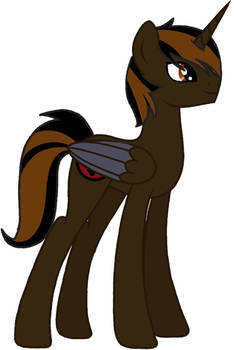 Pony splinter 1