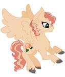 Peachy (my fluttershy)