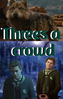 Threes a crowd cover
