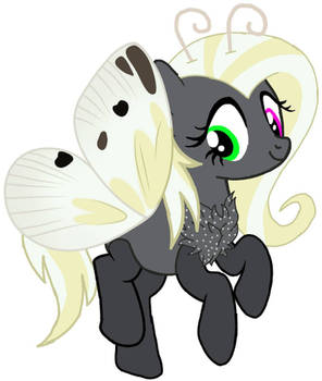 Carrie the butterfly pony