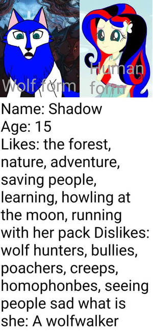 Wolfwalker shadow