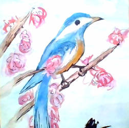 Sakura Blue Bird