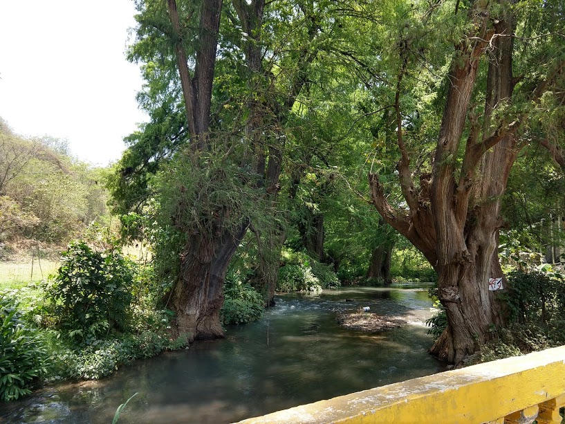 Los Ahuehuetes by arichocolotar666 on DeviantArt