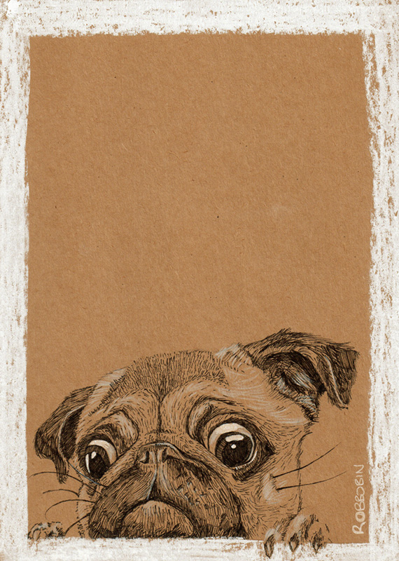 Pug