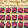 Expression Chart: Pandora
