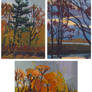 Autumn plein-air | 10 /17