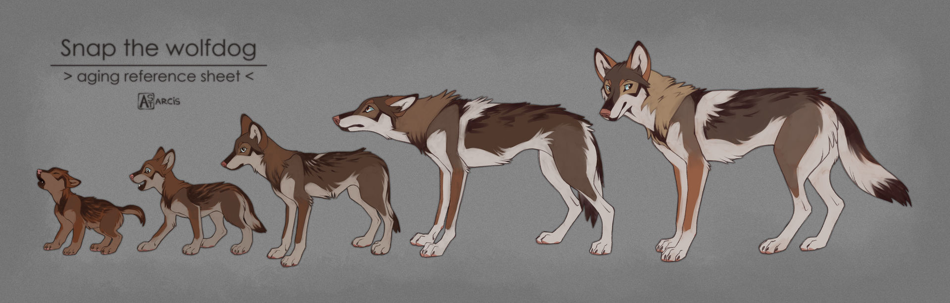 Snap aging reference sheet by Astarcis on DeviantArt